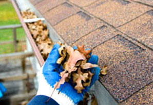 Gutter Services